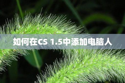 如何在CS 1.5中添加电脑人 如何在CS 1.5中添加电脑人