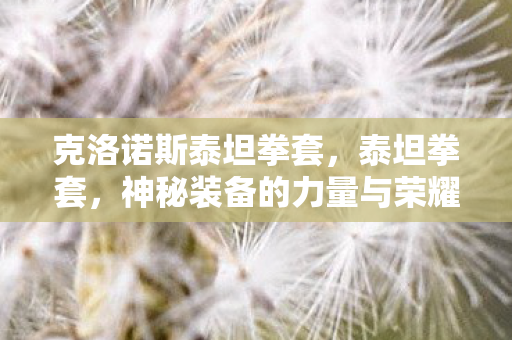 克洛诺斯泰坦拳套,泰坦拳套,神秘装备的力量与荣耀 克洛诺斯泰坦拳套,泰坦拳套,神秘装备的力量与荣耀