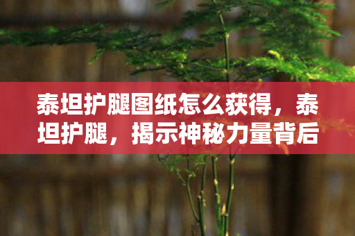 泰坦护腿图纸怎么获得,泰坦护腿,揭示神秘力量背后的秘密 泰坦护腿图纸怎么获得,泰坦护腿,揭示神秘力量背后的秘密