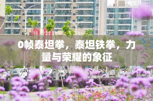0帧泰坦拳,泰坦铁拳,力量与荣耀的象征 0帧泰坦拳,泰坦铁拳,力量与荣耀的象征
