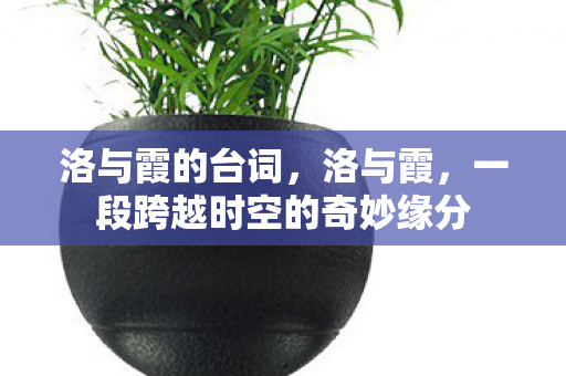 洛与霞的台词,洛与霞,一段跨越时空的奇妙缘分 洛与霞的台词,洛与霞,一段跨越时空的奇妙缘分