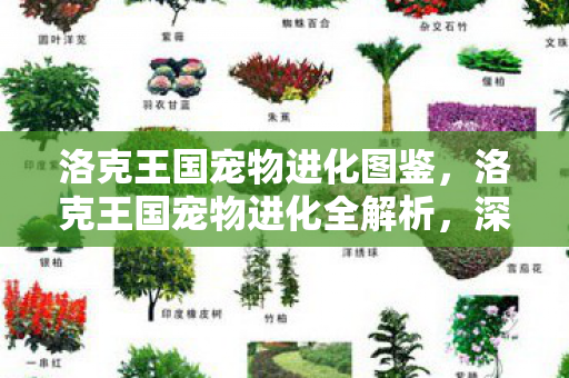 洛克王国宠物进化图鉴，洛克王国宠物进化全解析，深入了解宠物进化路线与特点