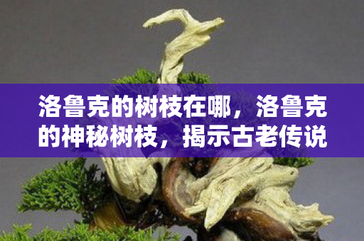 洛鲁克的树枝在哪，洛鲁克的神秘树枝，揭示古老传说与神秘力量的交织