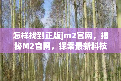 怎样找到正版jm2官网，揭秘M2官网，探索最新科技与独特体验的前沿平台