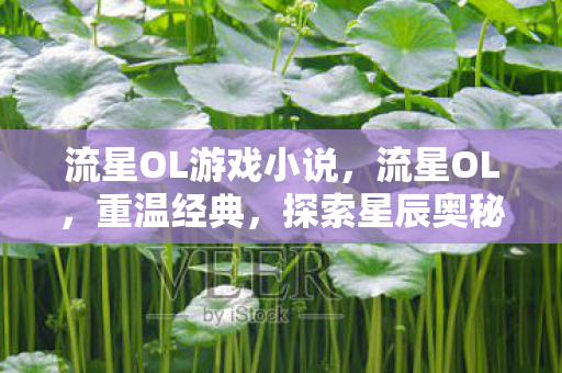 流星OL游戏小说,流星OL,重温经典,探索星辰奥秘 流星OL游戏小说,流星OL,重温经典,探索星辰奥秘