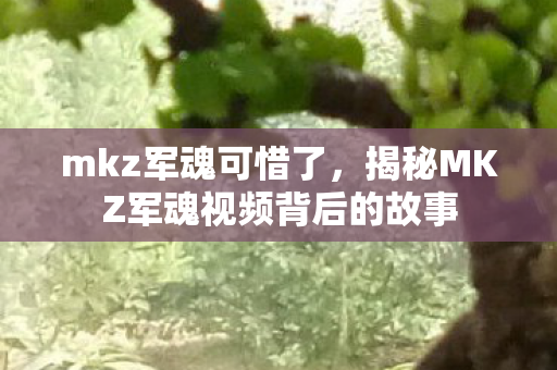 mkz军魂可惜了,揭秘MKZ军魂视频背后的故事 mkz军魂可惜了,揭秘MKZ军魂视频背后的故事