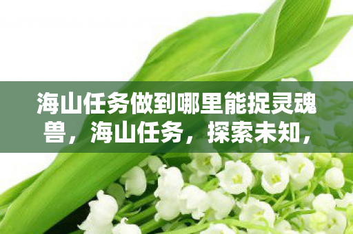海山任务做到哪里能捉灵魂兽,海山任务,探索未知,挑战自我 海山任务做到哪里能捉灵魂兽,海山任务,探索未知,挑战自我