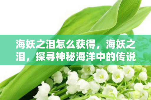 海妖之泪怎么获得，海妖之泪，探寻神秘海洋中的传说与真相