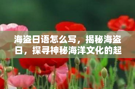 海盗日语怎么写，揭秘海盗日，探寻神秘海洋文化的起源与传承