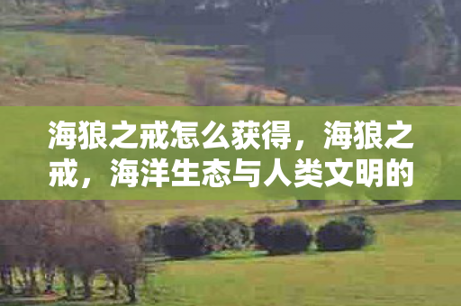 海狼之戒怎么获得,海狼之戒,海洋生态与人类文明的警戒线 海狼之戒怎么获得,海狼之戒,海洋生态与人类文明的警戒线
