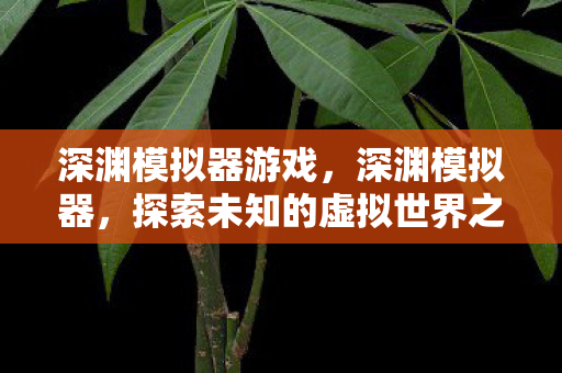 深渊模拟器游戏,深渊模拟器,探索未知的虚拟世界之旅 深渊模拟器游戏,深渊模拟器,探索未知的虚拟世界之旅