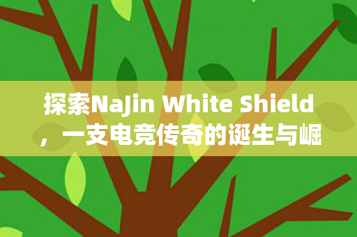 探索NaJin White Shield，一支电竞传奇的诞生与崛起之路