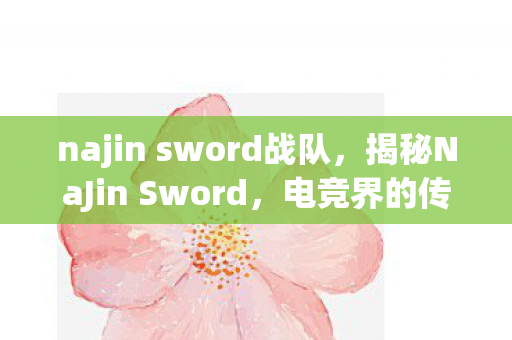 najin sword战队，揭秘NaJin Sword，电竞界的传奇之剑