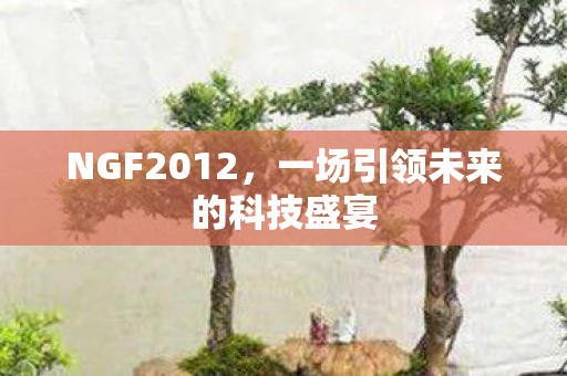 NGF2012,一场引领未来的科技盛宴 NGF2012,一场引领未来的科技盛宴