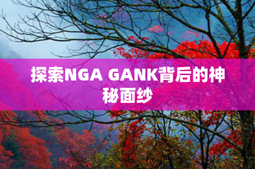 探索NGA GANK背后的神秘面纱
