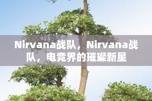 Nirvana战队，Nirvana战队，电竞界的璀璨新星