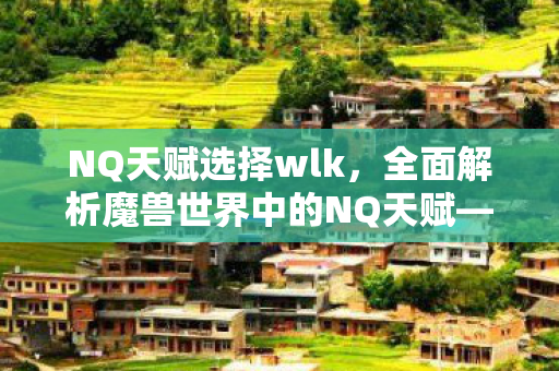 NQ天赋选择wlk，全面解析魔兽世界中的NQ天赋—守护与治愈的力量
