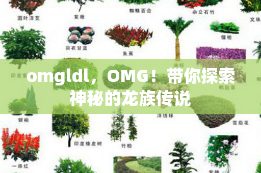 omgldl,OMG!带你探索神秘的龙族传说 omgldl,OMG!带你探索神秘的龙族传说