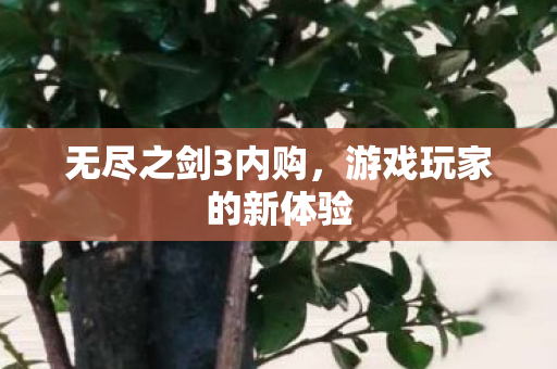 无尽之剑3内购,游戏玩家的新体验 无尽之剑3内购,游戏玩家的新体验