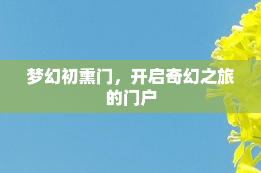 梦幻初熏门，开启奇幻之旅的门户