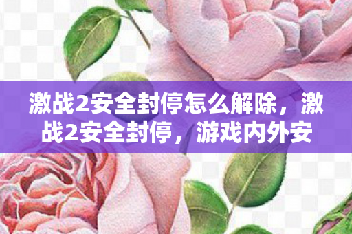 激战2安全封停怎么解除,激战2安全封停,游戏内外安全问题的深度解析与应对策略 激战2安全封停怎么解除,激战2安全封停,游戏内外安全问题的深度解析与应对策略