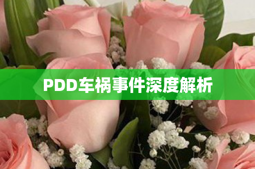 PDD车祸事件深度解析 PDD车祸事件深度解析
