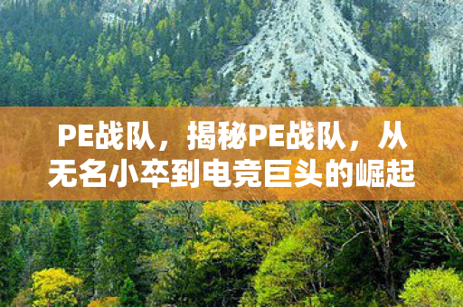 PE战队,揭秘PE战队,从无名小卒到电竞巨头的崛起之路 PE战队,揭秘PE战队,从无名小卒到电竞巨头的崛起之路