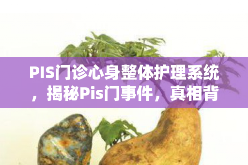 PIS门诊心身整体护理系统,揭秘Pis门事件,真相背后的故事 PIS门诊心身整体护理系统,揭秘Pis门事件,真相背后的故事