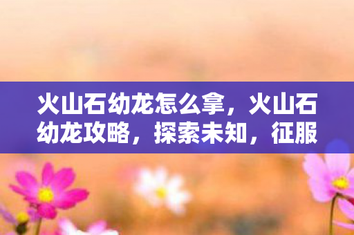 火山石幼龙怎么拿,火山石幼龙攻略,探索未知,征服奇幻世界 火山石幼龙怎么拿,火山石幼龙攻略,探索未知,征服奇幻世界