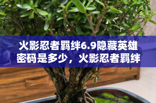 火影忍者羁绊6.9隐藏英雄密码是多少,火影忍者羁绊6.4,深度解析全新版本更新内容与特色 火影忍者羁绊6.9隐藏英雄密码是多少,火影忍者羁绊6.4,深度解析全新版本更新内容与特色