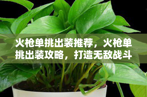 火枪单挑出装推荐,火枪单挑出装攻略,打造无敌战斗力 火枪单挑出装推荐,火枪单挑出装攻略,打造无敌战斗力