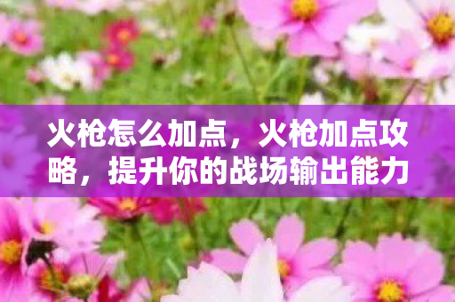 火枪怎么加点,火枪加点攻略,提升你的战场输出能力 火枪怎么加点,火枪加点攻略,提升你的战场输出能力