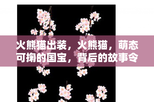火熊猫出装,火熊猫,萌态可掬的国宝,背后的故事令人感动 火熊猫出装,火熊猫,萌态可掬的国宝,背后的故事令人感动