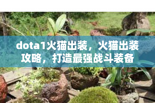 dota1火猫出装,火猫出装攻略,打造最强战斗装备 dota1火猫出装,火猫出装攻略,打造最强战斗装备
