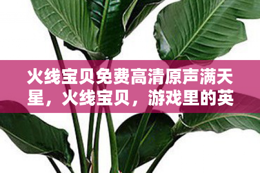 火线宝贝免费高清原声满天星,火线宝贝,游戏里的英勇伙伴 火线宝贝免费高清原声满天星,火线宝贝,游戏里的英勇伙伴