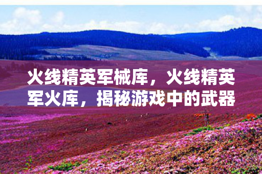 火线精英军械库,火线精英军火库,揭秘游戏中的武器宝库 火线精英军械库,火线精英军火库,揭秘游戏中的武器宝库