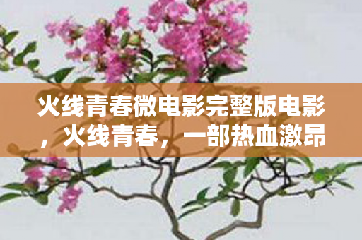 火线青春微电影完整版电影,火线青春,一部热血激昂的青春微电影 火线青春微电影完整版电影,火线青春,一部热血激昂的青春微电影