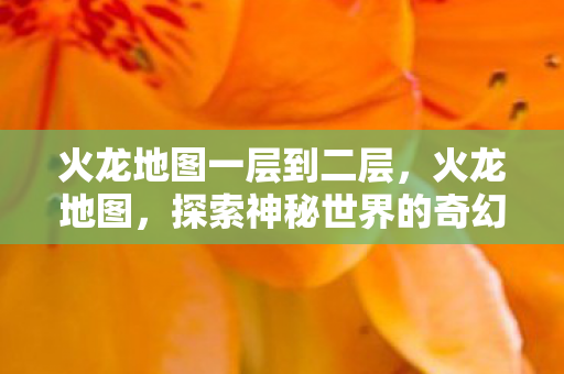 火龙地图一层到二层,火龙地图,探索神秘世界的奇幻之旅 火龙地图一层到二层,火龙地图,探索神秘世界的奇幻之旅