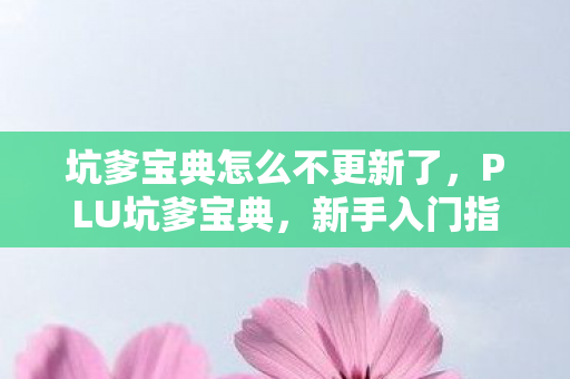 坑爹宝典怎么不更新了,PLU坑爹宝典,新手入门指南与实用技巧分享 坑爹宝典怎么不更新了,PLU坑爹宝典,新手入门指南与实用技巧分享