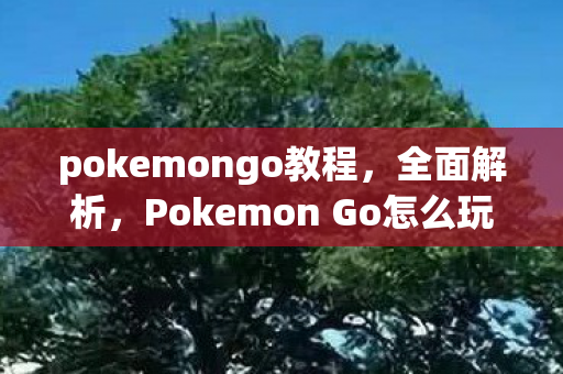 pokemongo教程,全面解析,Pokemon Go怎么玩? pokemongo教程,全面解析,Pokemon Go怎么玩?
