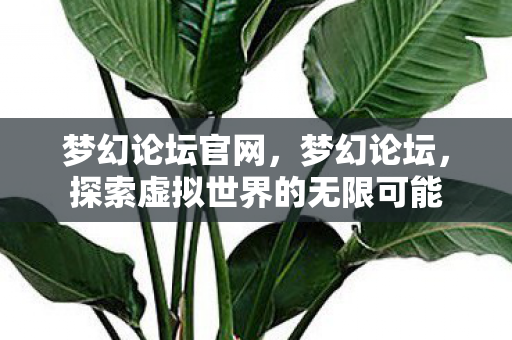 梦幻论坛官网，梦幻论坛，探索虚拟世界的无限可能