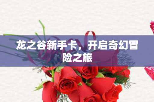 龙之谷新手卡,开启奇幻冒险之旅 龙之谷新手卡,开启奇幻冒险之旅