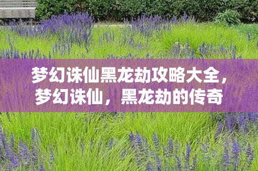 梦幻诛仙黑龙劫攻略大全,梦幻诛仙,黑龙劫的传奇 梦幻诛仙黑龙劫攻略大全,梦幻诛仙,黑龙劫的传奇