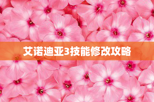 艾诺迪亚3技能修改攻略 艾诺迪亚3技能修改攻略