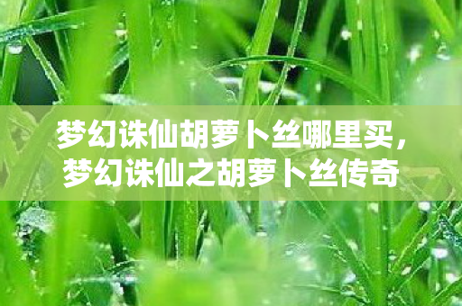 梦幻诛仙胡萝卜丝哪里买，梦幻诛仙之胡萝卜丝传奇