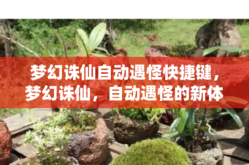 梦幻诛仙自动遇怪快捷键，梦幻诛仙，自动遇怪的新体验