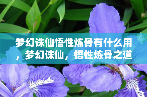 梦幻诛仙悟性炼骨有什么用,梦幻诛仙,悟性炼骨之道 梦幻诛仙悟性炼骨有什么用,梦幻诛仙,悟性炼骨之道