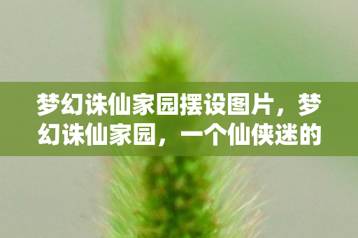 梦幻诛仙家园摆设图片,梦幻诛仙家园,一个仙侠迷的温馨乐园 梦幻诛仙家园摆设图片,梦幻诛仙家园,一个仙侠迷的温馨乐园