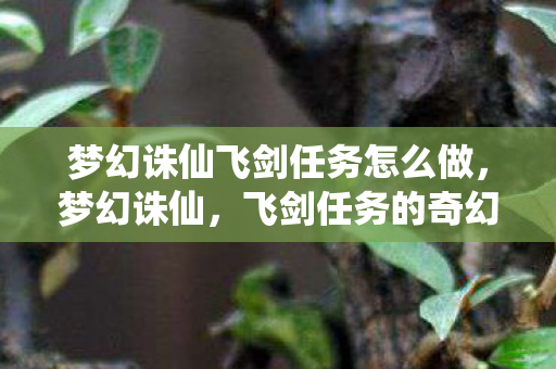 梦幻诛仙飞剑任务怎么做,梦幻诛仙,飞剑任务的奇幻之旅 梦幻诛仙飞剑任务怎么做,梦幻诛仙,飞剑任务的奇幻之旅