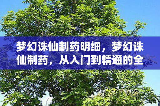 梦幻诛仙制药明细,梦幻诛仙制药,从入门到精通的全方位解析 梦幻诛仙制药明细,梦幻诛仙制药,从入门到精通的全方位解析